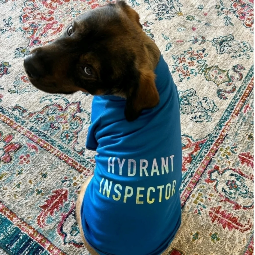 Blue Hydrant InspectorDog Sweatshirt Boots & Barkley-L